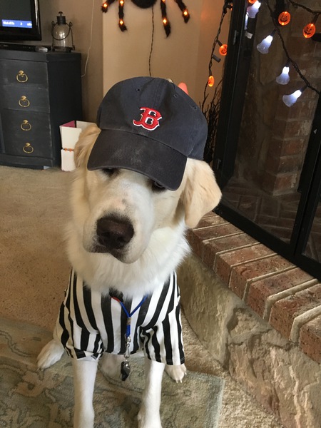 Tucker