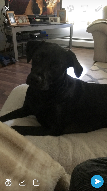 Molly