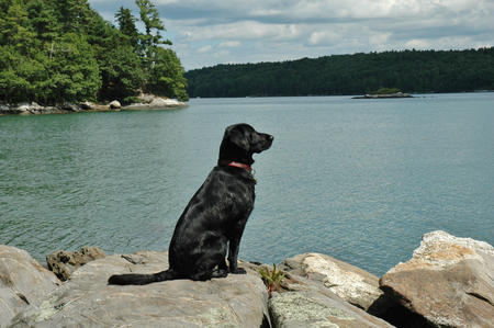Cooper