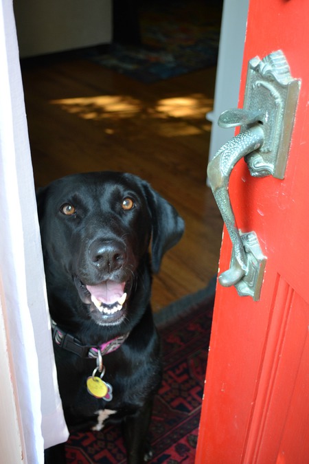 Sadie