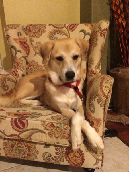 Finnegan