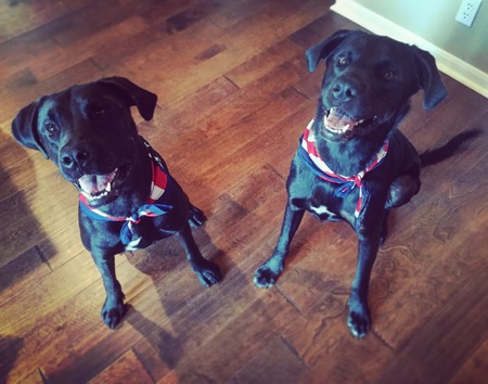 Ace & Bo