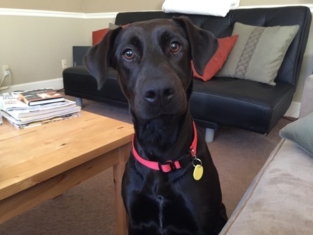 Edwina (was her foster name)