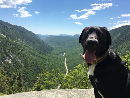 Summit