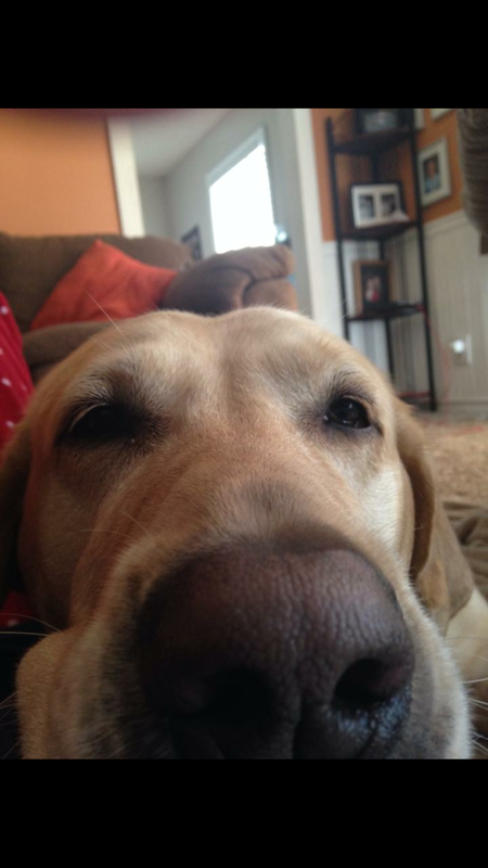 Lily
