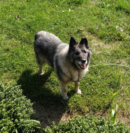 Einar