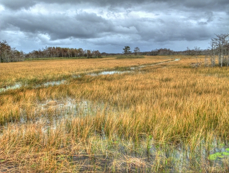 Grassy Waters Vista