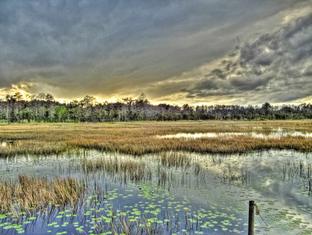 Storm Clouds