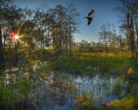 Sunset in The Restoration Area