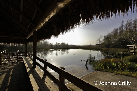 A Look Out Over Grassy Waters