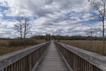 Peaceful Path