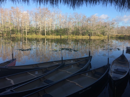 Canoes docked