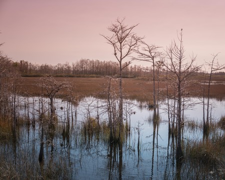 Grassy Waters Vista & Reflections