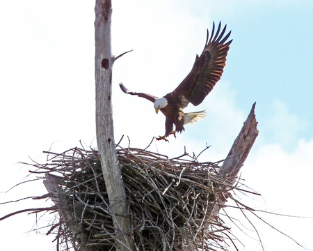 Graceful Landing