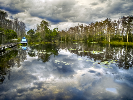 Grassy Waters Landscape