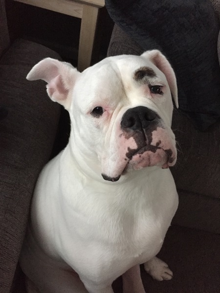 Neo
