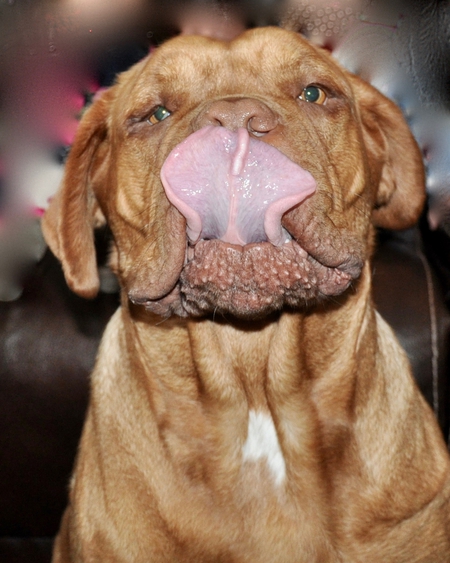 Walter