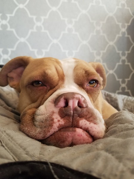 Charlie