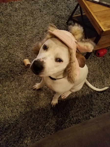MARLEY