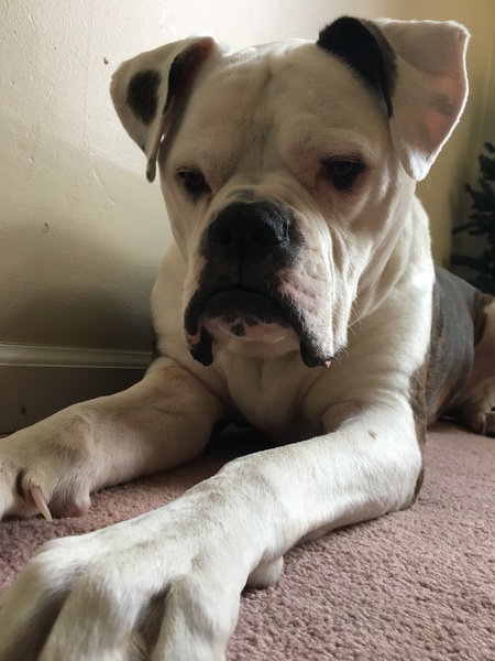 Sam