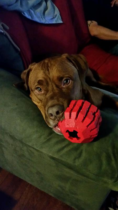 Levon with his big red ball