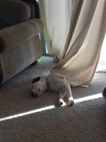 Mia