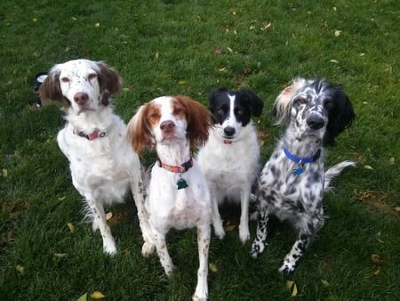 Titus, Tessa, Lucy and Levi