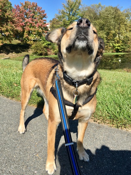 Lilah