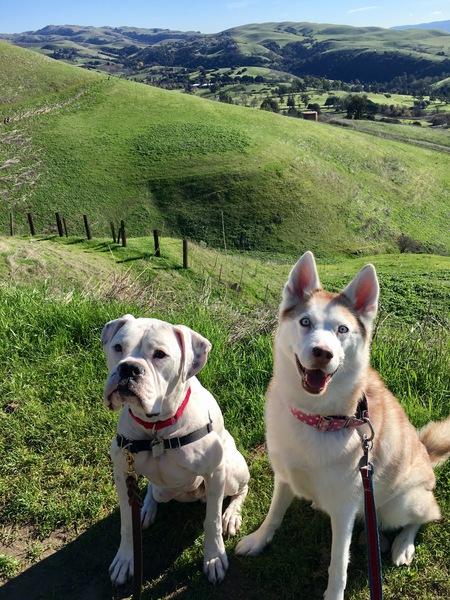Finn and Milli