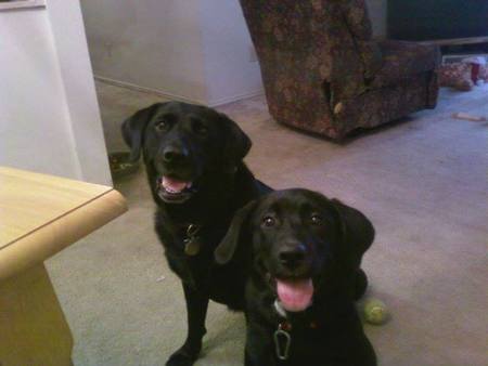 Jordan and Lucky