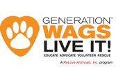 Generation Wags