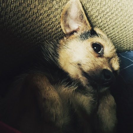 Roxy