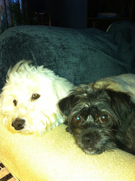 Stella and Bob Marley