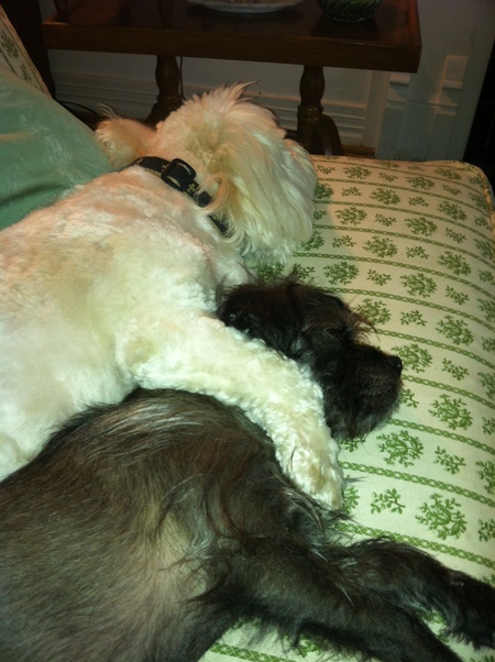 Stella and Bob Marley