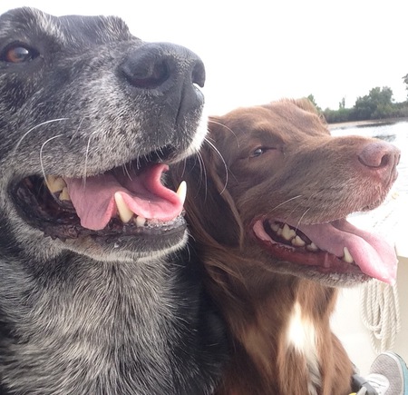 Shadow and Abby