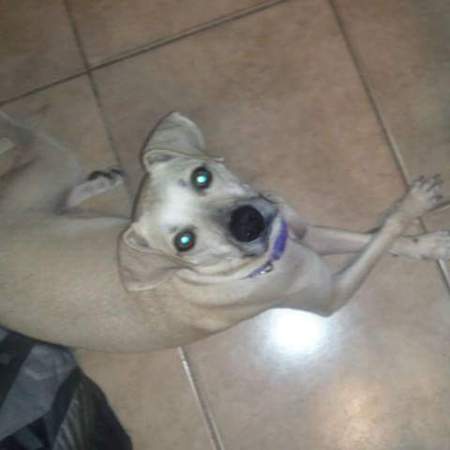 Izzie