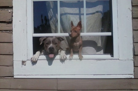 Isabella & Amigo Brown