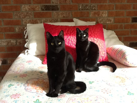 Nuni and Bella