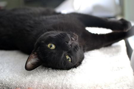 Mimi 