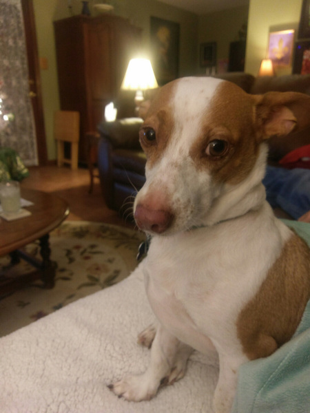 Diego