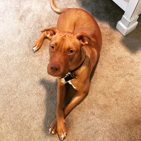 Roux 