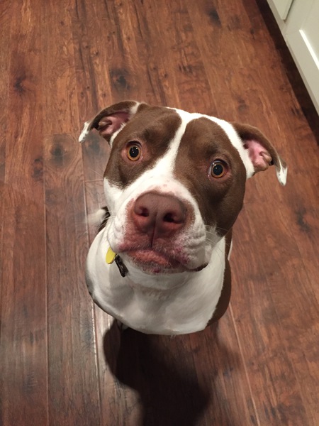Heidi