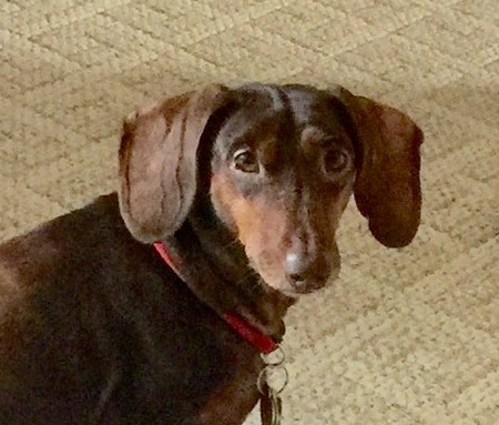 Hershey
