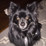 Entry image for Bella 