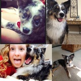 Entry image for Jake