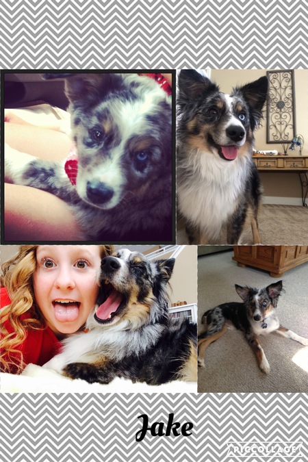 Entry image for Jake. Clicking this image will show a larger photo