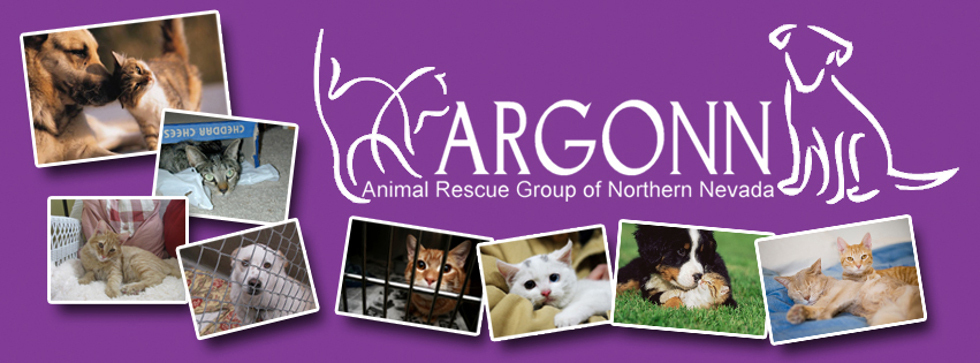Banner for ARGONN 2015 PET CALENDAR PHOTO CONTEST