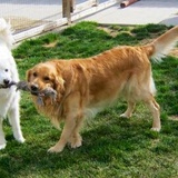 Entry image for Cassie & Bailey
