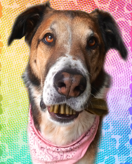 Entry image for Brooks. Clicking this image will show a larger photo
