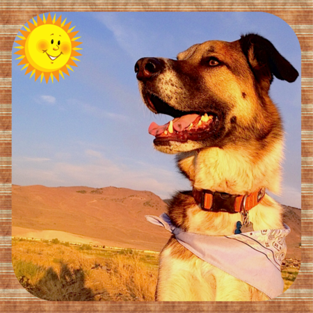 Entry image for Brooks. Clicking this image will show a larger photo